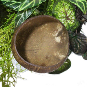 Coconut Shell Mug Bowl | Your Magic Mug